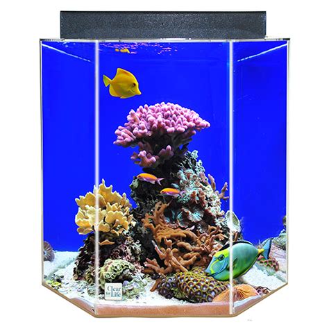 55 gallon fish tank|Clear.